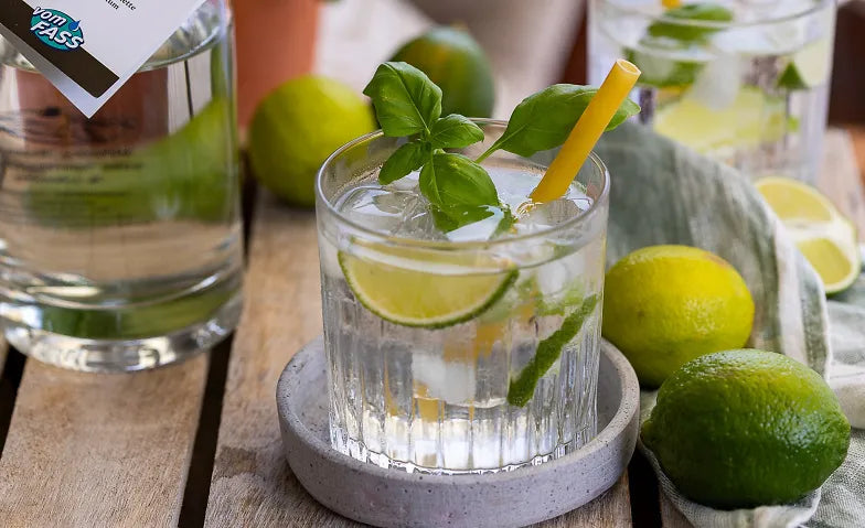 Gin Tasting in Dillingen