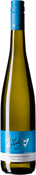 
                                2024 Sauvignon blanc Bio trocken
                            