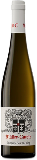 
                                2021 Bürgergarten Riesling
                            