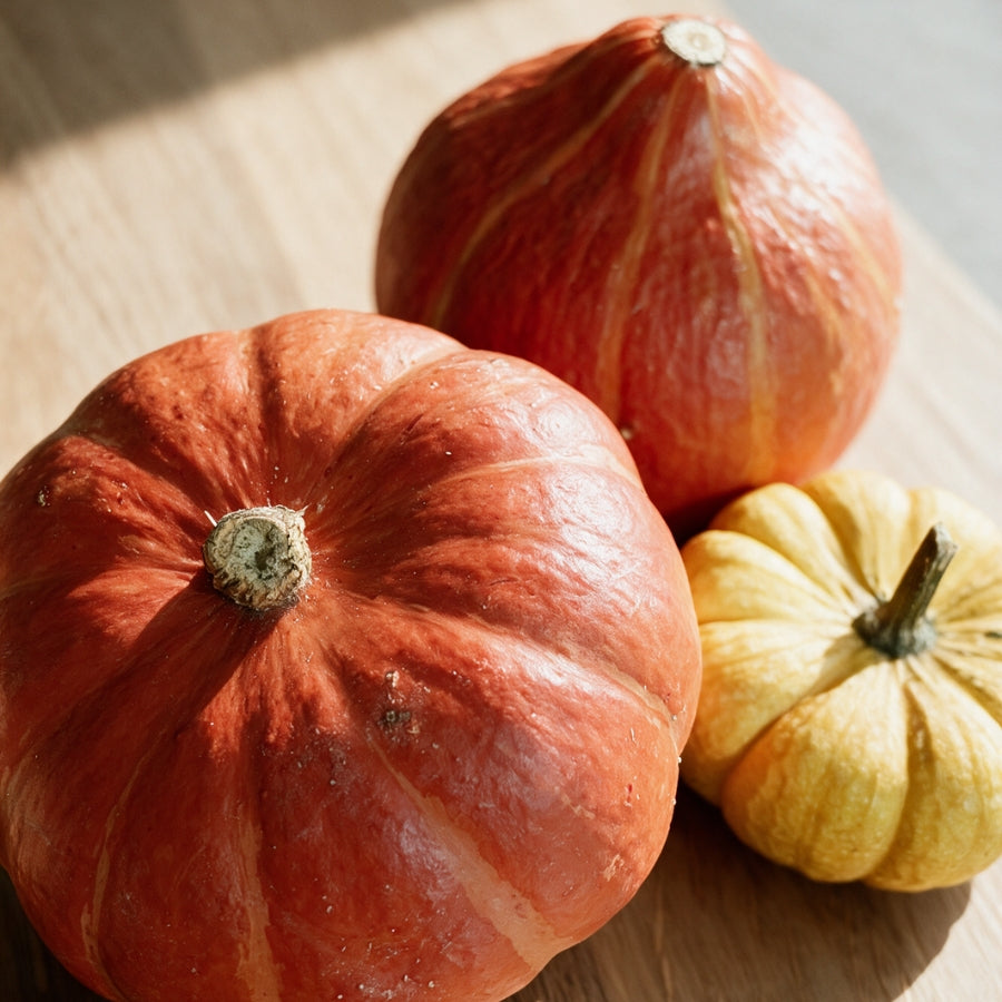 Herbstküche verfeinern