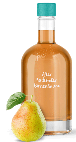 Alter Südtiroler Birnbaum