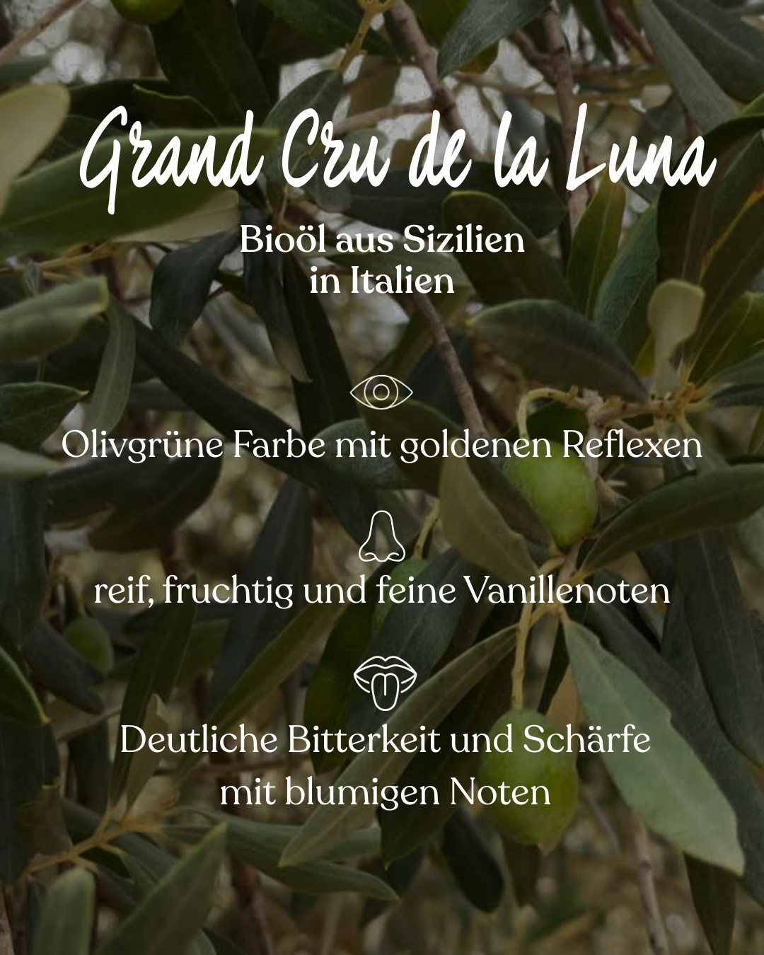Extra natives Olivenöl Fakten Grand Cru